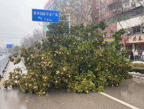 下班高峰，数十辆公交车被逼停……