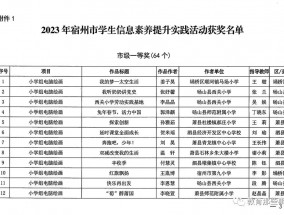 关于公布2023年宿州市学生信息素养提升实践活动获奖名单