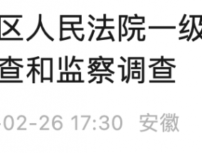 宿州市埇桥区人民法院一级法官张西勇接受纪律审查和监察调查