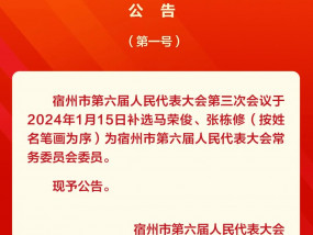 宿州市第六届人民代表大会第三次会议公告（第一、二、三号）