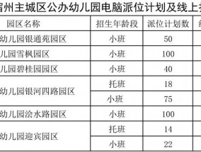 关于宿州市主城区公办幼儿园2023年秋季招生电脑派位的公告！