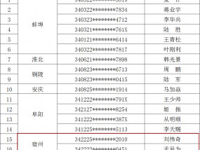 终生禁驾，宿州2人！