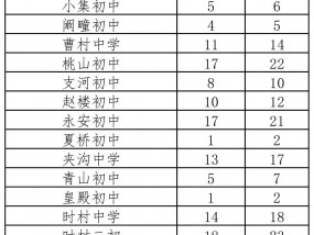 宿州市埇桥区2024年省示范高中定向招生指标分解表