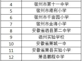 宿州市依法治校示范校拟命名名单公示