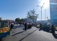 宿州人记忆中的热闹与快乐，都在周末的花鸟市场~