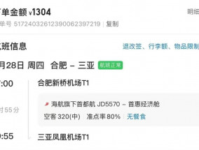 抓！王某某、马某某在新桥机场落网！