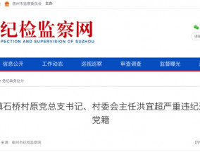 洪宜超严重违纪违法被开除党籍！原萧县祖楼镇石桥村原党总支书记、村委会主任……