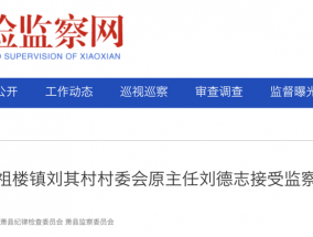 萧县祖楼镇刘其村村委会原主任刘德志接受监察调查