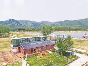 宿州文旅“破圈”： 让“家”的烟火成为“远方”的向往