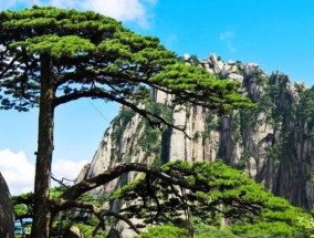 今日起！持此卡可全年不限次免门票游黄山